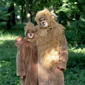 Simba König der Tiere