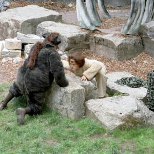 Simba König der Tiere