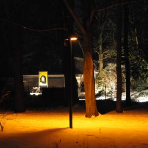 Der Vertreter