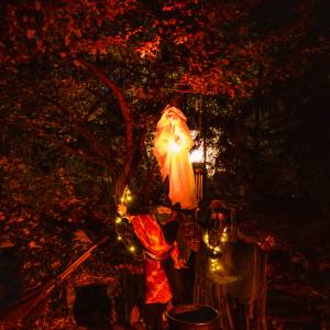 Gruselige Impressionen des Mystischen Pfades