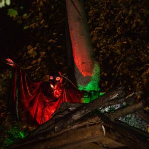 Gruselige Impressionen des Mystischen Pfades